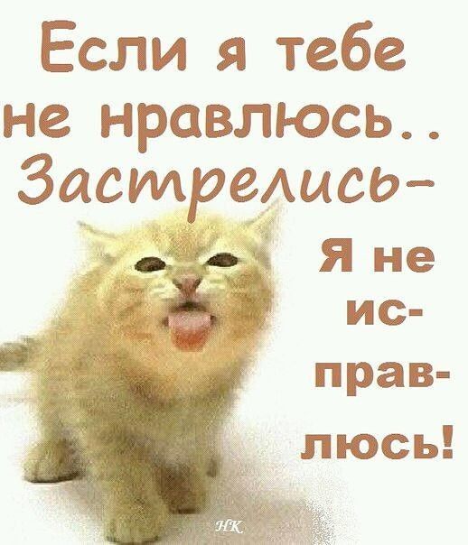 Если я тебе не нравлюсь Засспремед