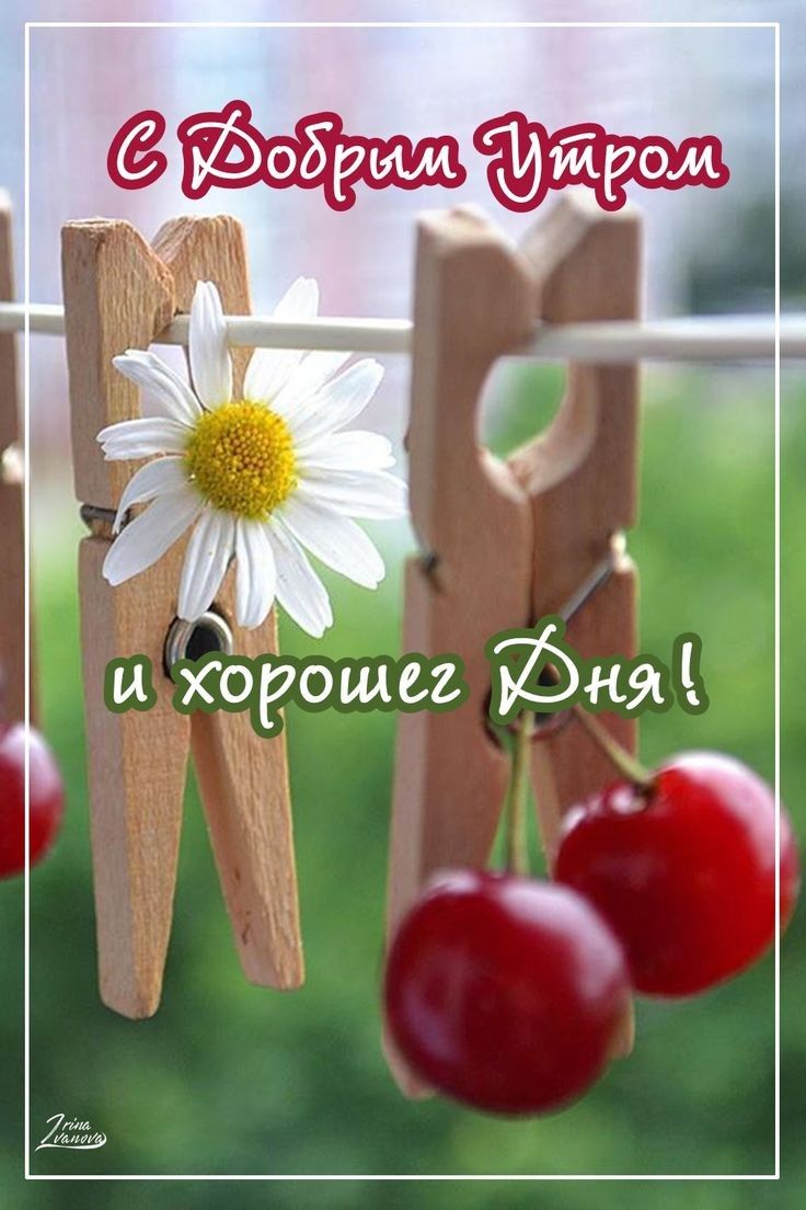 и Корошег Юна