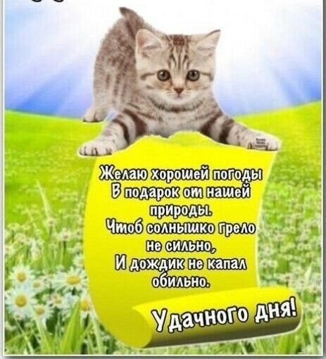 ё_ пнашей у _ 1 у 1131 ШдоЖАИк обильно