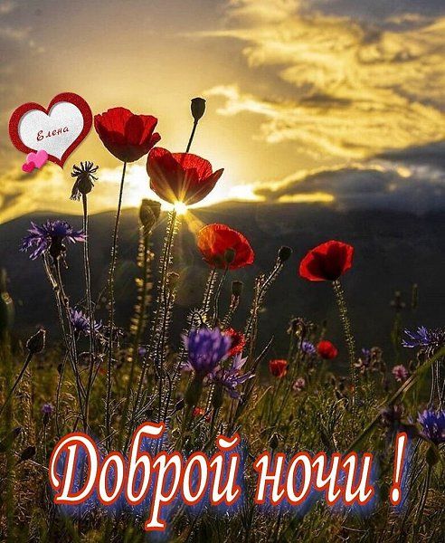 Зооа ищ т фоброй ночи !