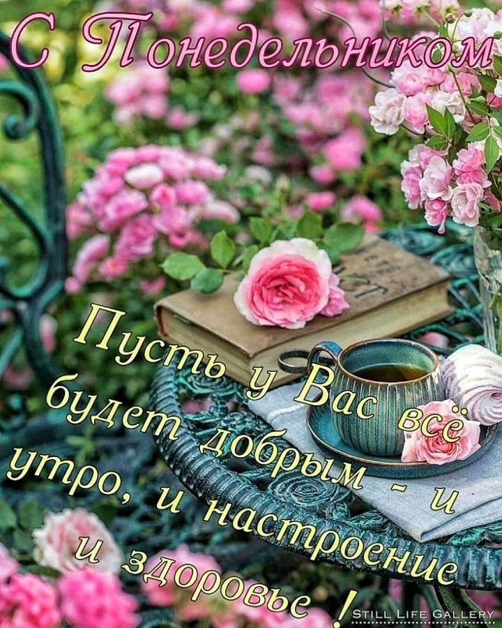 Т ц,   о ?едёла?ш