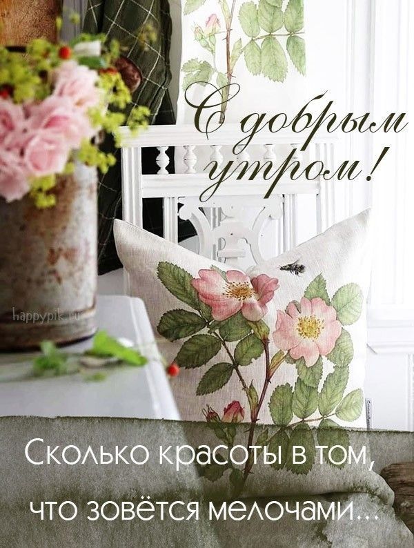 СКОАЬКО аасоты в что зовётся меочам