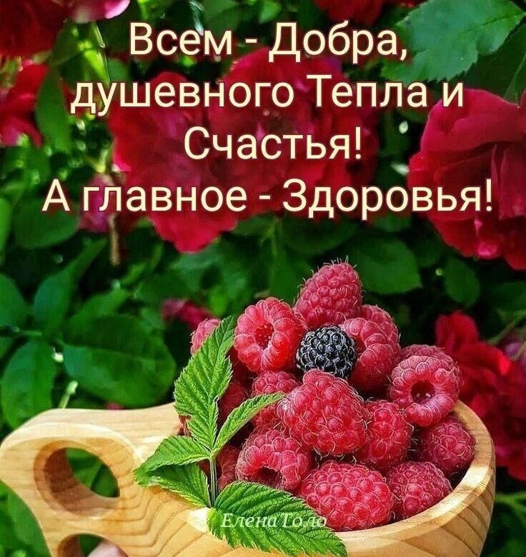 Всем Добра55 удшевного Теплаи 7 Счастья А гёравное Здоровья