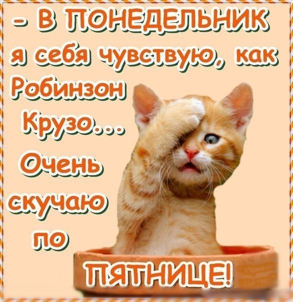 С.м эз  ищг. Ы 5