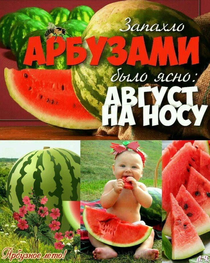 йашило К дыма ясно
