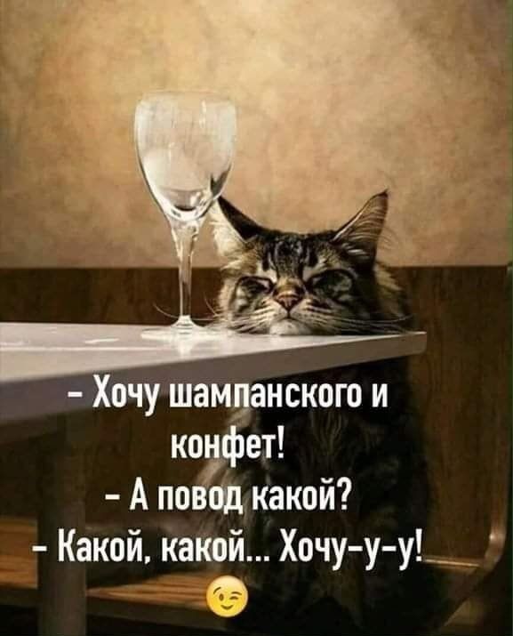 Хочу шамданского и кфет А по щкакой Какой какой Хочу у у_