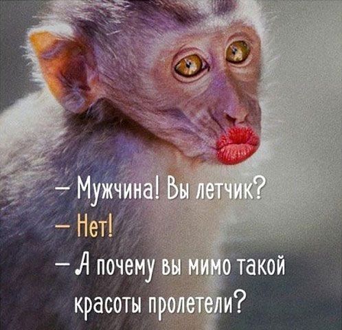 Красоты