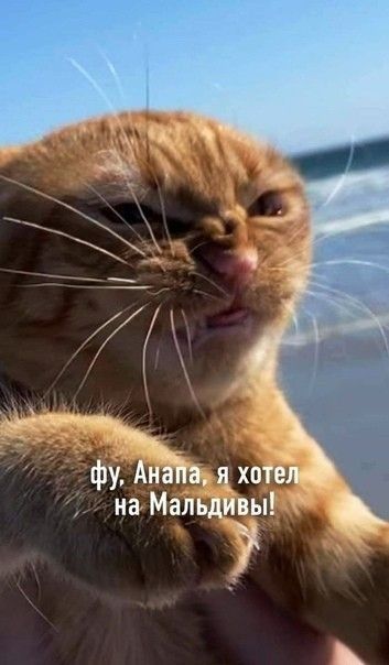 фу АнаПэ поте на Мальдивы _