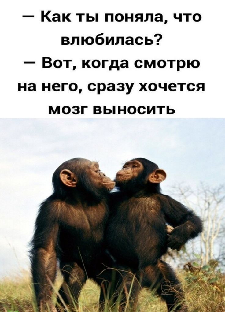 Как ты поняла что влюбилась Вот когда смотрю на него сразу хочется МОЗГ ВЬНОСИТЬ