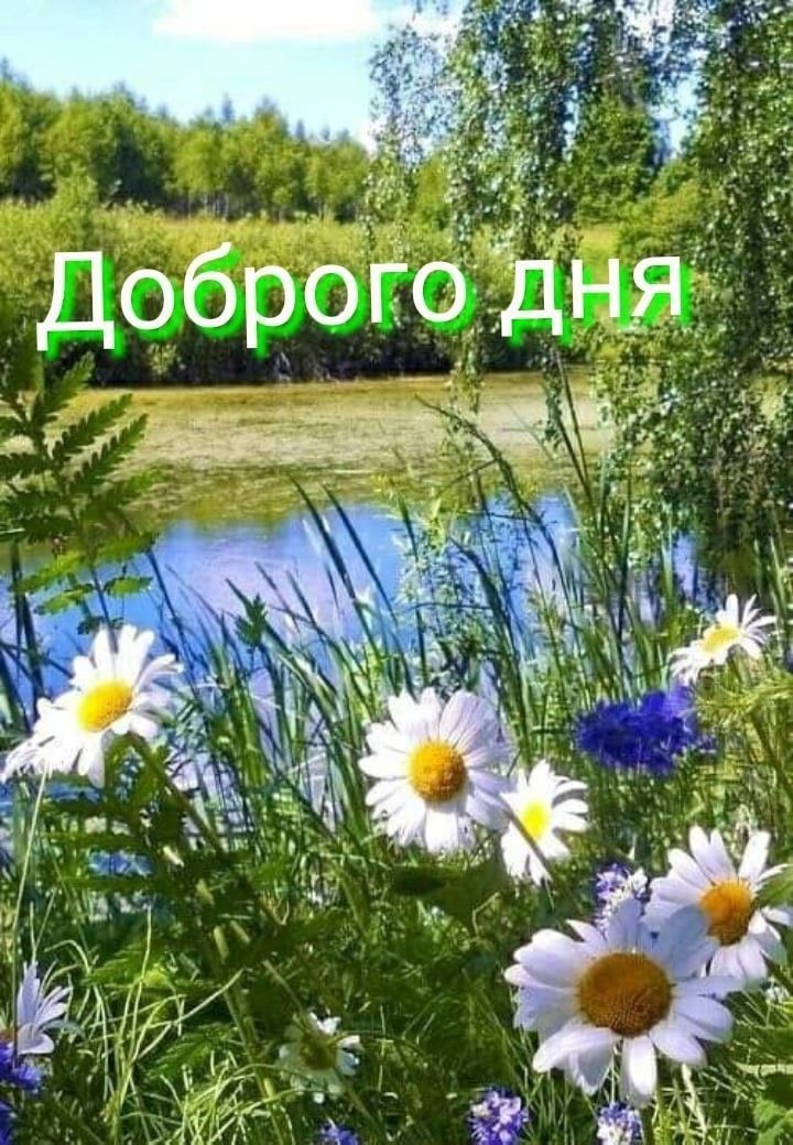 Доброго дня