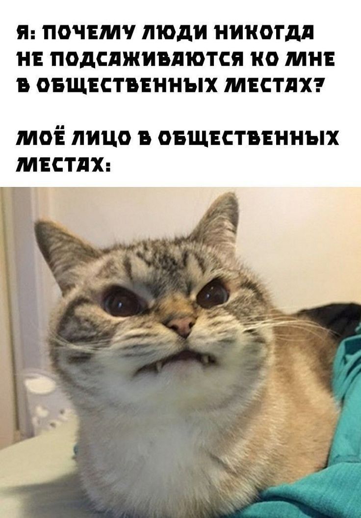Я ПОЧЕМУ ПОДИ НИКОГДА НЕ ПОДСПЖИЕПШТСЯ НО МНЕ В ОБЩЕСТВЕННЫХ МЕСТЛХ МОЕ ЛИЦО Е ОБЩЕСТВЕННЪГХ МЕСТПХ а 5