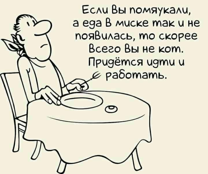 Еси Вы помяукаш а еза В миске так и не пояВчАась то скорее Всего Вы не кот Прыэётся чаты и работать