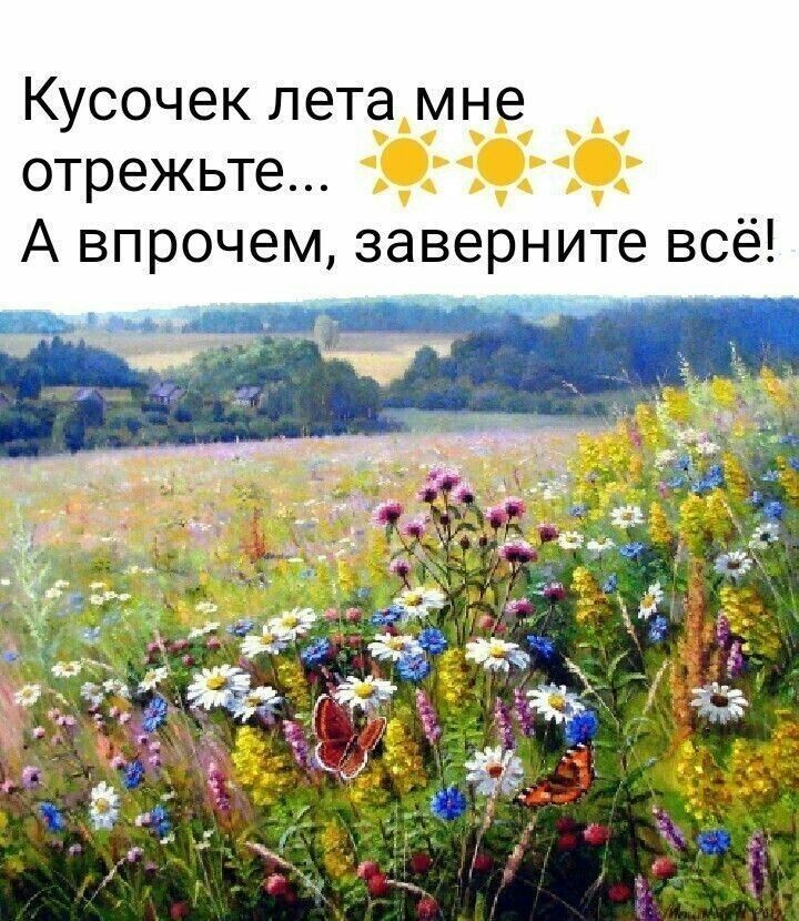 Кусочек лета пуще отрежьте А впрочем заверните всё
