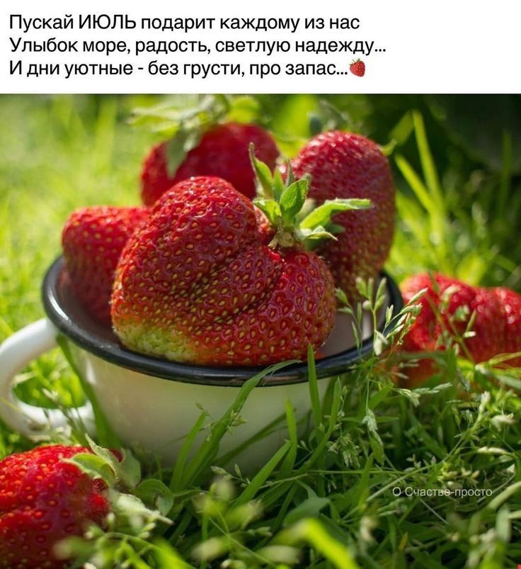 Пускай ИЮЛЬ подарит каждому из нас Упыбок море радость светлую надежду И дни уютные без грусти про запас