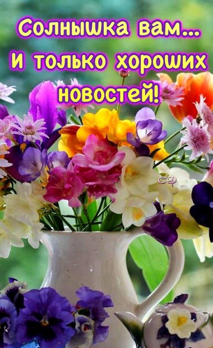 «. Солнышказвам