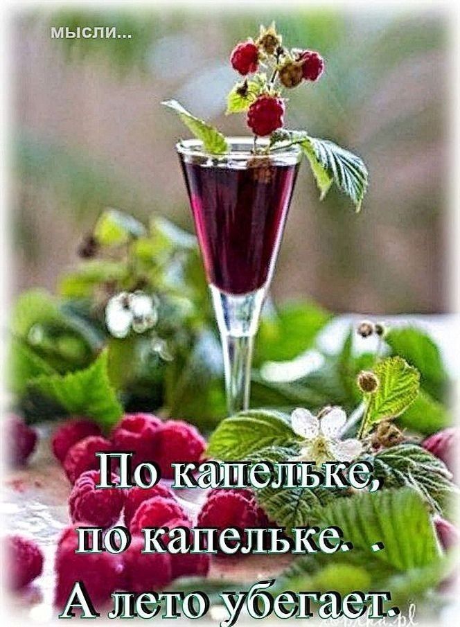 тіЁёШіыт 53 Шёикапелы ср