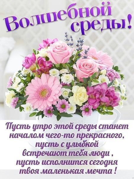 Пуипьшпроэтойсрефлшшшп шшламчего пшпршрашдго пуипьсшшюкой Вшцречшоттиіяшоци пцтцьитшиицпдяшофш тдоямдшшкдялшиип