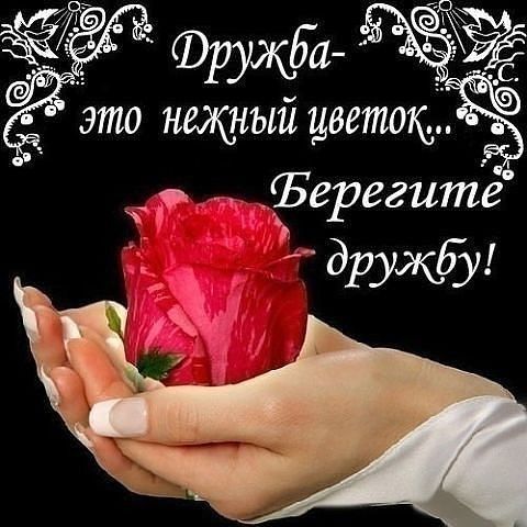 ЁЁ Фружда это нежный цветокЁ ЧЁерегите дружбу