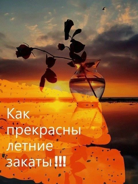 Как прекрасны летние Закаты
