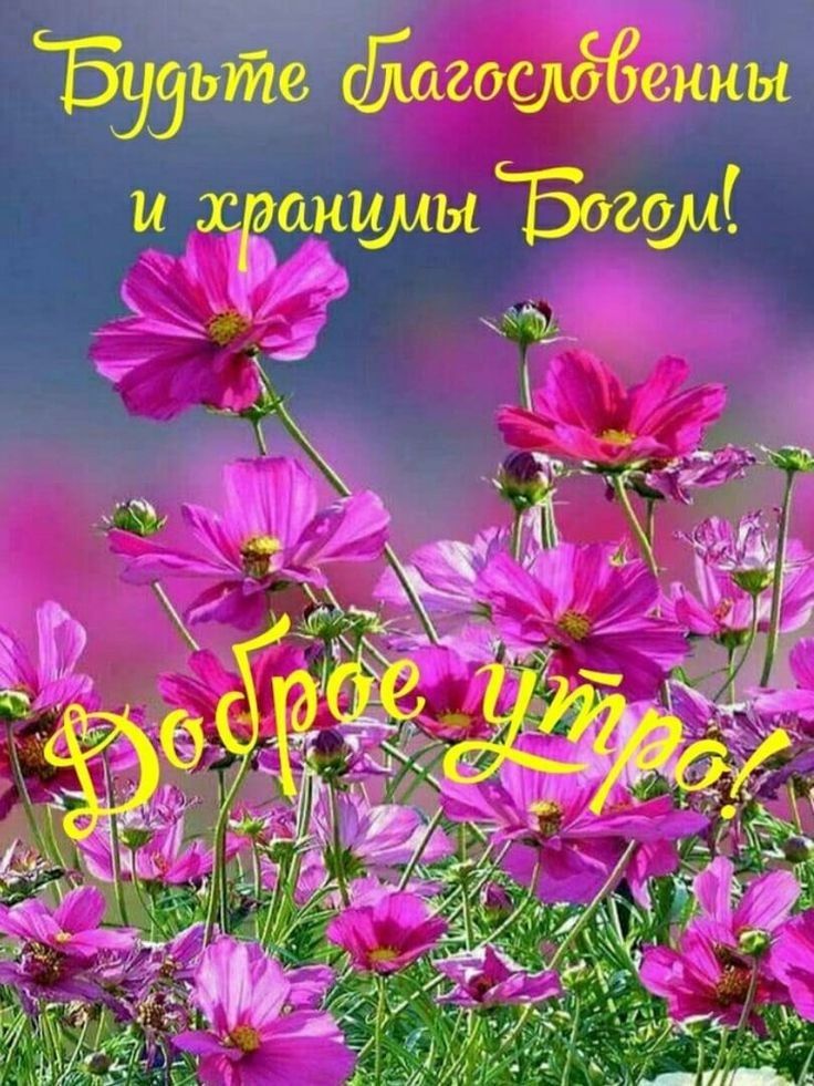 5331Ёіё пёпгосщдденны и хранили 502914