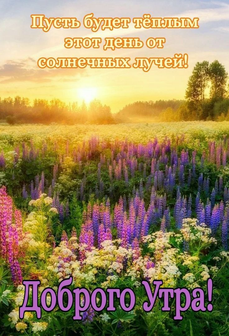 этот ЛНЗЧН ЬРХ рого Утрё