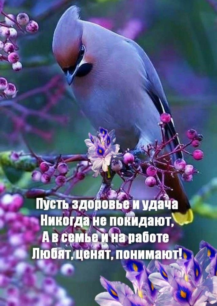 Ёп здоіов Ёеиидайъ Нины не пойдяют А в сдам Чинавата ъДепттллвнит пониългюті 33 Ъ