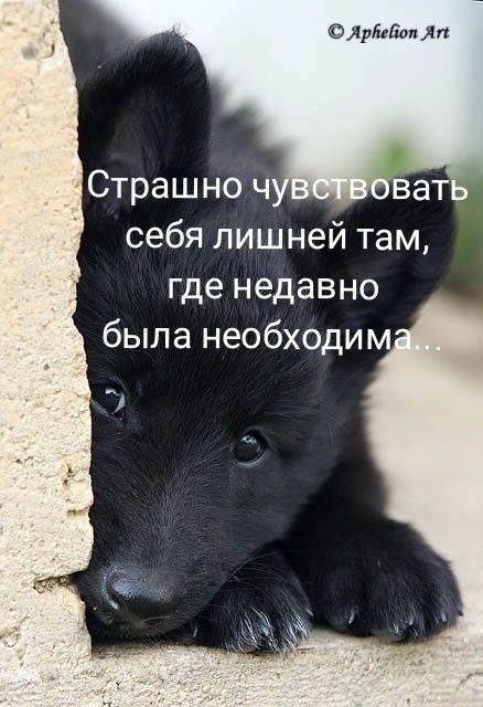жиры чп себя лишней там где недавно была необходим
