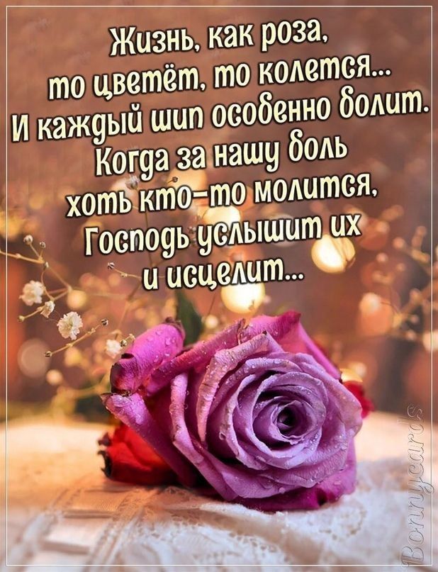 Жизнь как роза то цветёт то колется И кажуый шип особенно болит Ког9ад33шу боль _ ЖетьЧкто тощоштся Госпо Ь и _ 9 наддьпшупъх _ З _ исцелит ___ р ч 9 с а Ё _ __