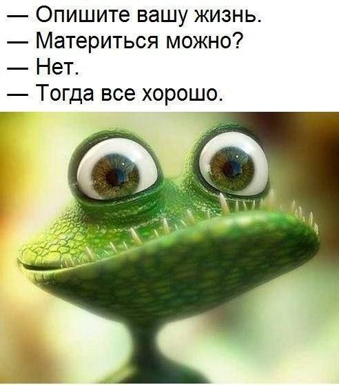 Опишите вашу жизнь Материться можно Нет Тогда все хорошо