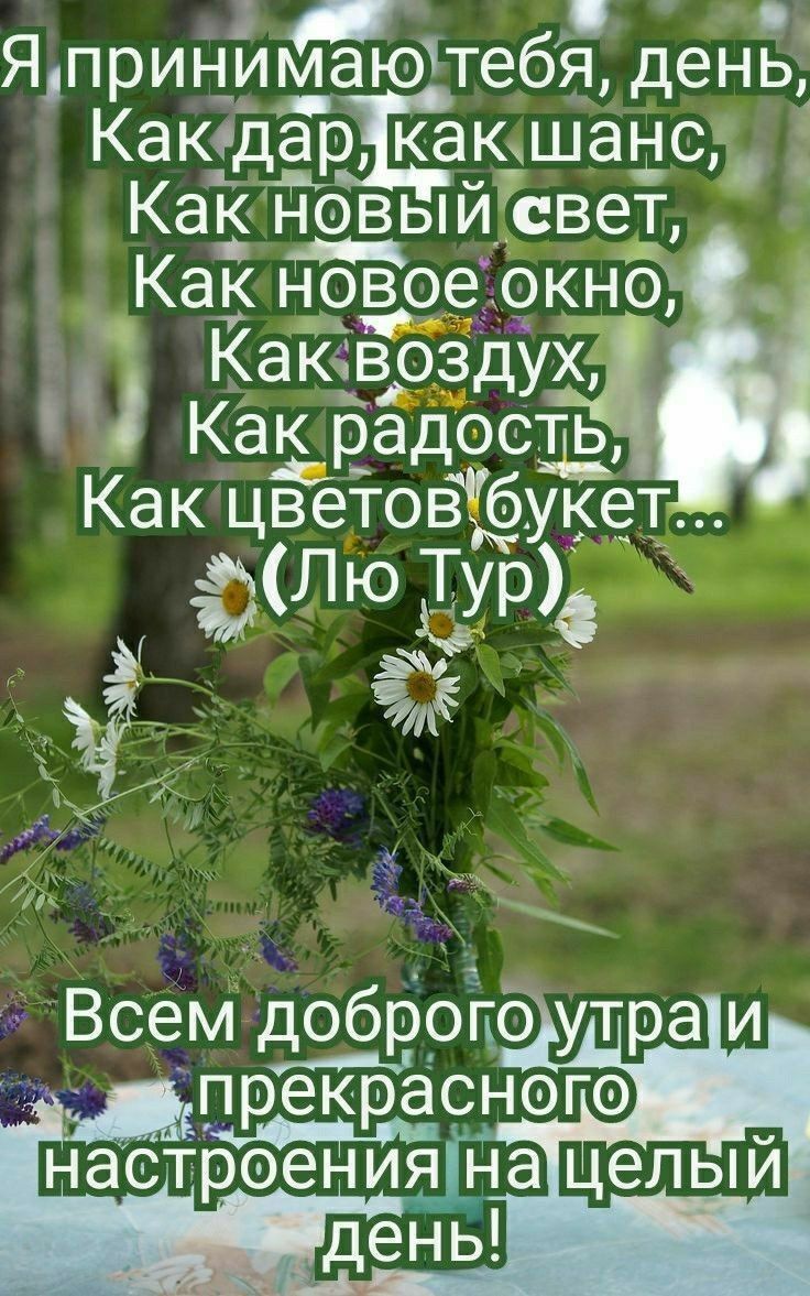 5 Ядпринимаю1тебя день Какодар какшанс КаК новый _свет Как дбпзое окно Какчвозду Всем добропо утра и прекрасного наетроения на __ день