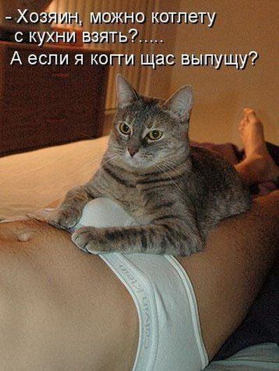 ХОЗЯЬВБ мпжно котлету с кухни взять А если я когги щас выыщуг