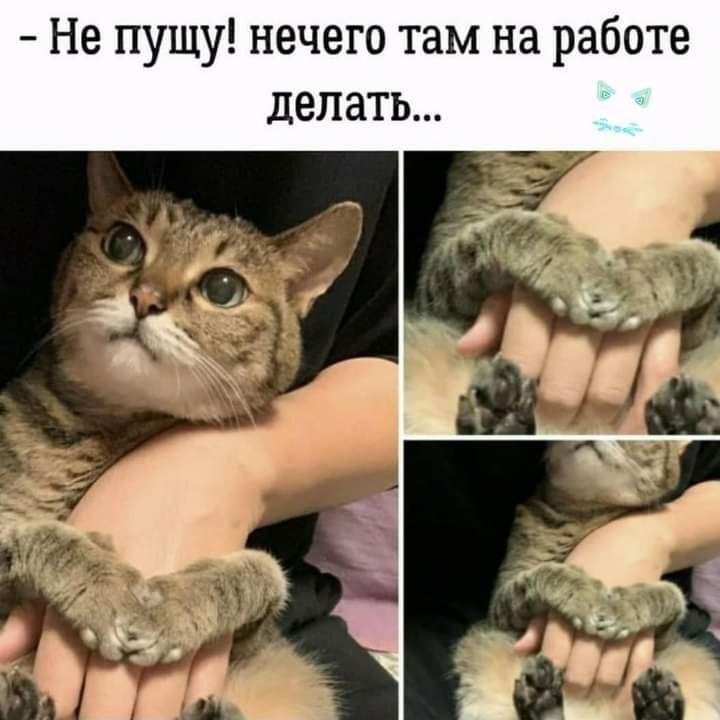 Не пущу нечего там на работе делать