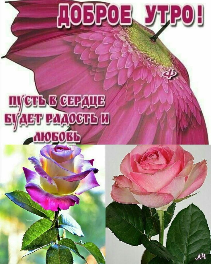 ЩСП В СЕРДЦЕ ЕЁШНМЁО д_ 30505111 у _ 3 гг