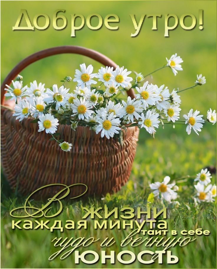 ЦОСРОС у РШ _ ЭК ьціниЫ а каждая М ИН таит в себе