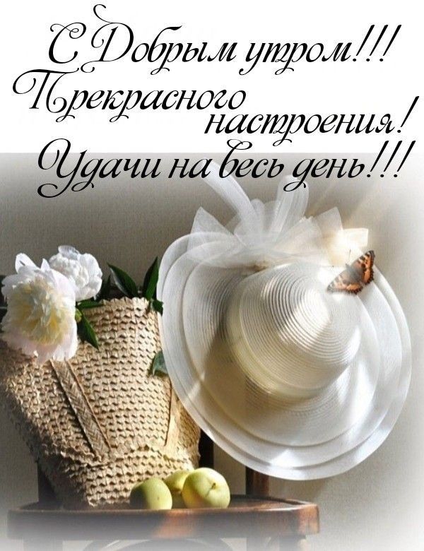 Ёйофддмщл ЁіЗДИЁОЁО НИСОЗНЦЯ щ щгдЁсд ендЛ