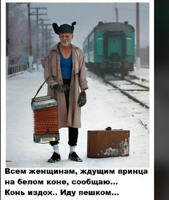 _ Всем женщинам ждущим принца на белом коне сообщаю Конь издох Иду пешком