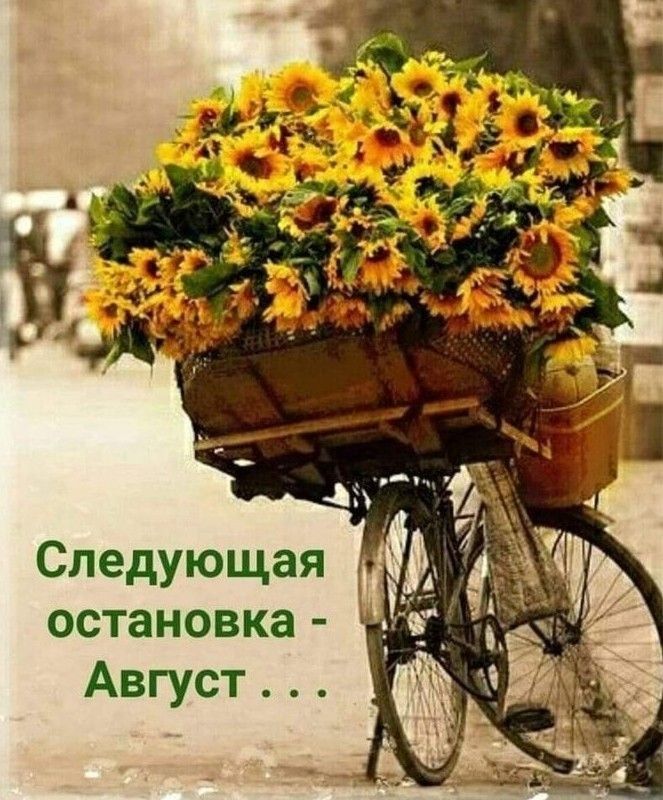 Следующая остановка Август