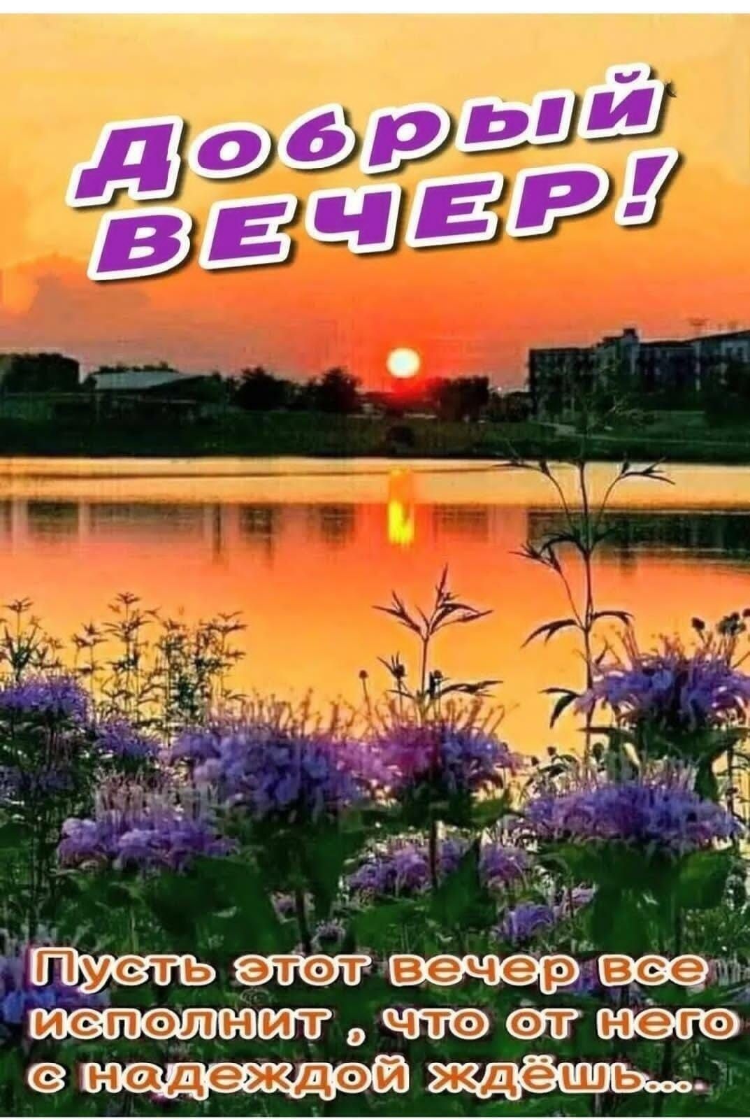 _ пто винд М