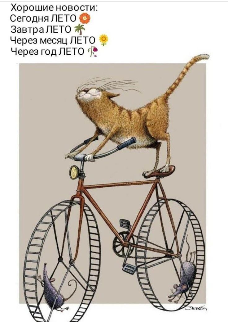 Хорошие новости Сегодня ЛЕТО Завтра ЛЕТО 7 Через месяц ЛЕТО Через год ЛЕТО