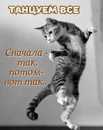 тднцувм Сначала так потом вот так