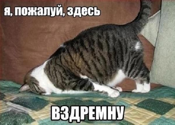 я пожалий эдеёв 5