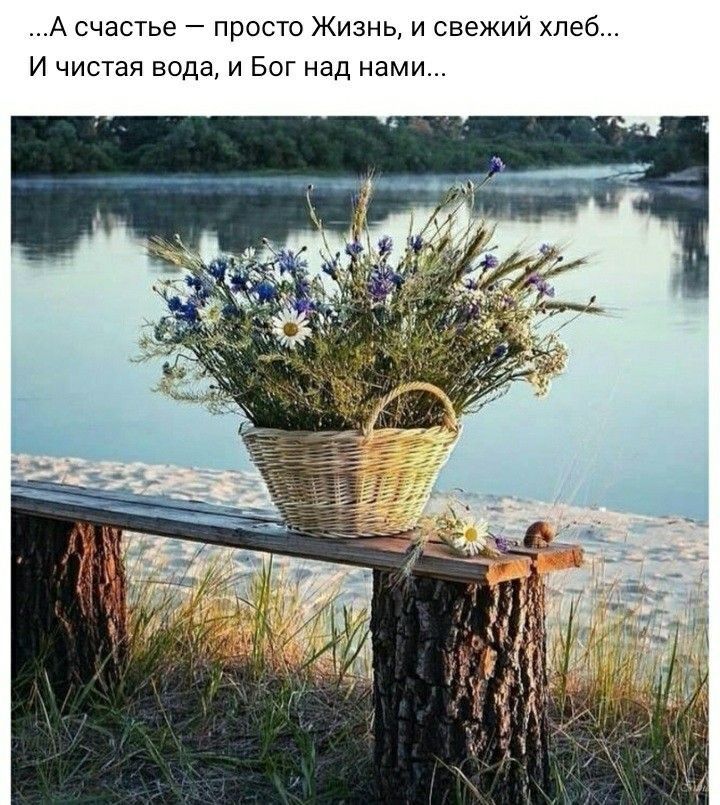 А счастье просто Жизнь и свежий хлеб И чистая вода и Бог над нами