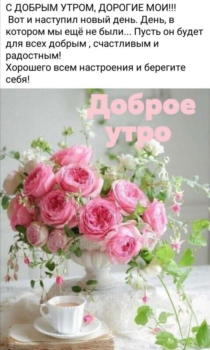 С ДОБРЫМ УТРОМ ДОРОГИЕ МОИ Вот и наступил новый день День в котором мы ещё не были Пусть он будет для всех добрым счастливым и радостным Хорошего всем настроения и берегите себя