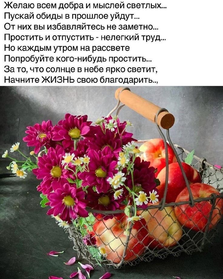 Желаю всем добра и мыслей светлых Пускай обиды в прошлое уйдут От них вы избавляйтесь не заметно Простить и отпустить нелегкий труд Но каждым утром на рассвете Попробуйте кого нибудь простить За то что солнце в небе ярко светит Начните ЖИЗНЬ свою благодарить