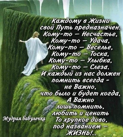 Каж ему а Жив свой путь лреднаэначе Кому то Лесиаетве Комуто Удача Комута Веселье Кому тб Тиса Комито Улыбка Кому та Слеза каждый 113 нас должен ламншпь всегда не Важно что было а будет когда Л Важно лишдломнитв любить ценить То трудее диво под наЗванием ЖИЗЛЬА ы