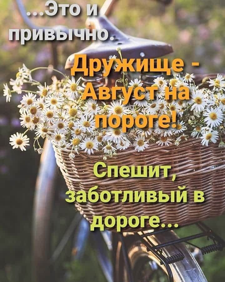 ггд Ды 3503