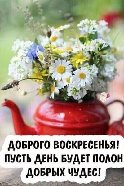 дОБРОГО ВОСКРЕСЕНЬЯ ПУСТЬ дЕНЬ БУДЕТ ПОАОН АОБРЫХ ЧУДЕС