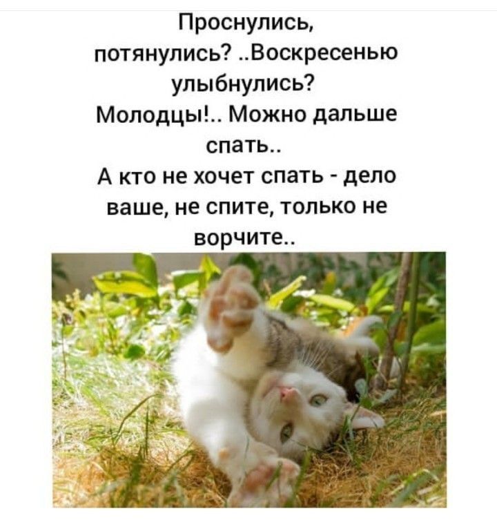 Проснулись потянулись Воскресенью улыбнулись Молодцы Можно дальше спать А кто не хочет спать дело ваще не спите только не ворчите