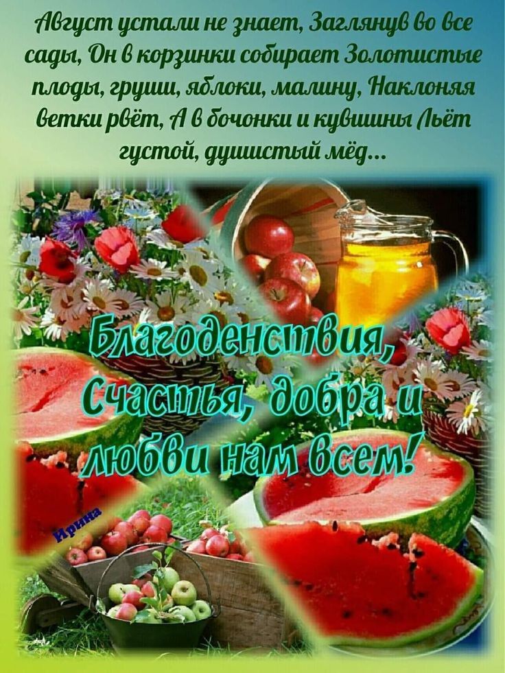 Ядгуапуспшмшнезішипдагмнувдодсе шутЮнвкотишшсобираетЗалопштше пышки груши яблоки малину Ншелоняя Веткирдёт Лвбочвнниикцбишныіьёт густой уушитияймёу