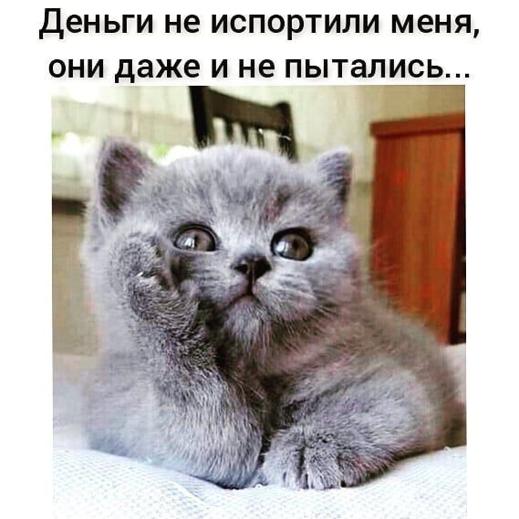 дВНЬГИ НЕ ИСПОРТИЛИ МЕНЯ ОНИ даже И не пытались
